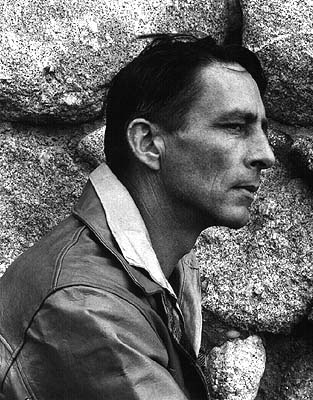 Robinson jeffers poems i am not dead picture
